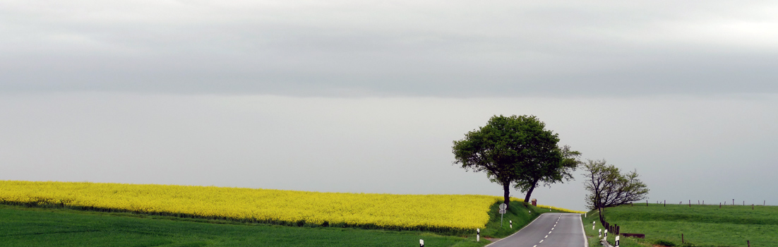 Manche Wege muss man gehen