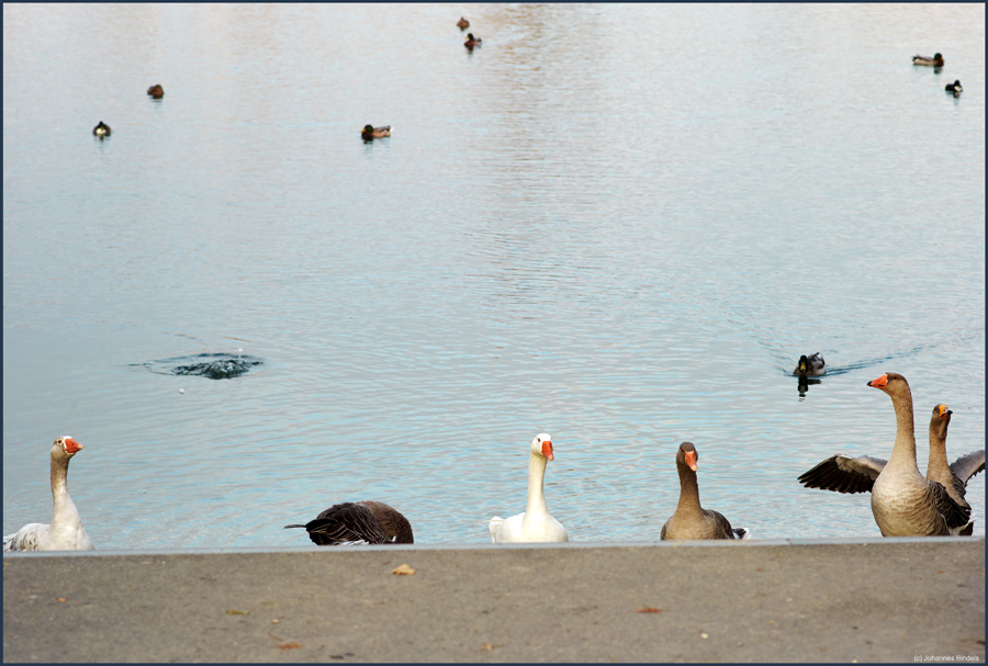 Über den Rand schauen als softskill